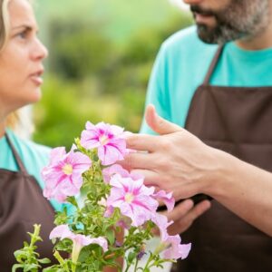 Floral Business Financial Architecture