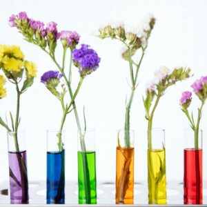 Design Principles & Visual Mechanics in Floral Work