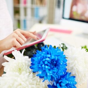 Colour in Floral Design — Beyond the Basics